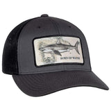BORNOFWATER Great White Shark Patch Hat
