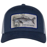 BORNOFWATER Great White Shark Patch Hat
